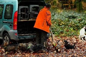 Hunting in Normandy in The Forest of Écouves - France