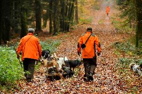 Hunting in Normandy in The Forest of Écouves - France