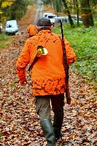 Hunting in Normandy in The Forest of Écouves - France