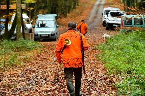 Hunting in Normandy in The Forest of Écouves - France