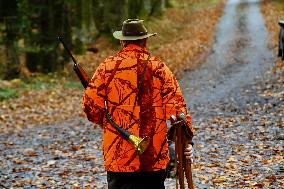 Hunting in Normandy in The Forest of Écouves - France