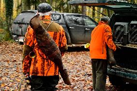 Hunting in Normandy in The Forest of Écouves - France