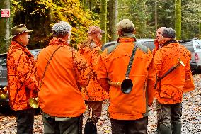 Hunting in Normandy in The Forest of Écouves - France