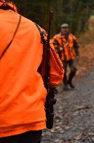 Hunting in Normandy in The Forest of Écouves - France
