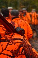 Hunting in Normandy in The Forest of Écouves - France