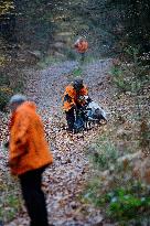 Hunting in Normandy in The Forest of Écouves - France