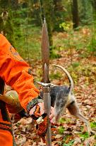 Hunting in Normandy in The Forest of Écouves - France