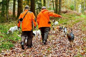 Hunting in Normandy in The Forest of Écouves - France