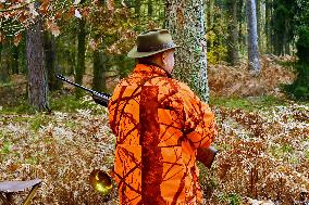Hunting in Normandy in The Forest of Écouves - France