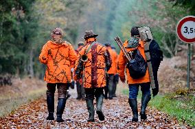 Hunting in Normandy in The Forest of Écouves - France
