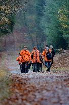 Hunting in Normandy in The Forest of Écouves - France