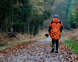 Hunting in Normandy in The Forest of Écouves - France