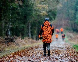 Hunting in Normandy in The Forest of Écouves - France