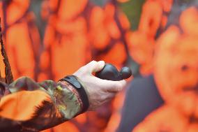 Hunting in Normandy in The Forest of Écouves - France