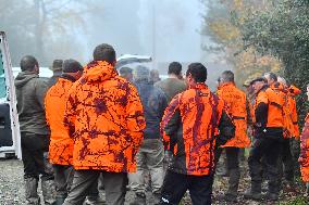 Hunting in Normandy in The Forest of Écouves - France