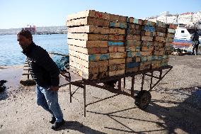 Fishing Sector Development in Algeria - Algeria