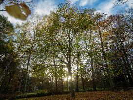 Autumn Colors in Caorches Saint Nicolas - France