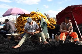 Fishing Sector Development in Algeria - Algeria