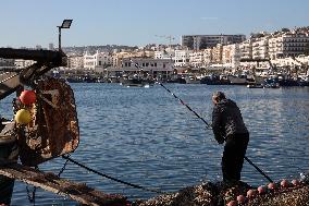 Fishing Sector Development in Algeria - Algeria