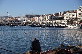 Fishing Sector Development in Algeria - Algeria