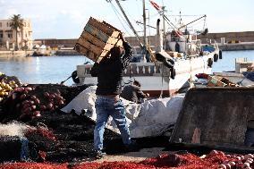 Fishing Sector Development in Algeria - Algeria