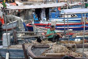 Fishing Sector Development in Algeria - Algeria