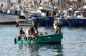 Fishing Sector Development in Algeria - Algeria