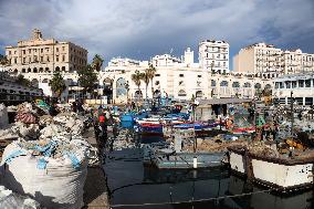 Fishing Sector Development in Algeria - Algeria