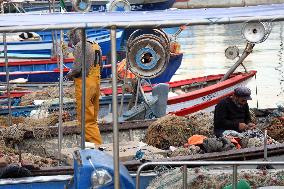Fishing Sector Development in Algeria - Algeria