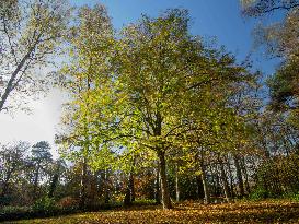 Autumn Colors in Caorches Saint Nicolas - France