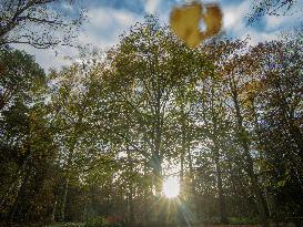 Autumn Colors in Caorches Saint Nicolas - France