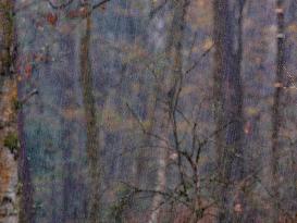 Autumn Colors in Caorches Saint Nicolas - France