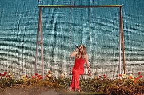 59th Annual CMA Awards - Show