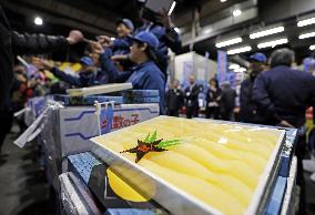 Auction of salted herring roe in Osaka