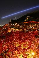 Kiyomizu temple lit up in Kyoto