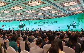 Global Panda Partners 2025 Conference - China