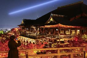Kiyomizu temple lit up in Kyoto