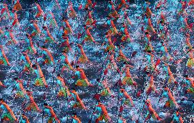 Closing Ceremony of China's 15th National Games - China