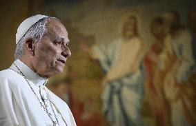 Pope Leo XIV Meets Online With 15000 Young American Catholics - Vatican