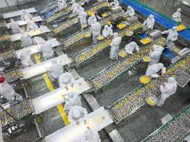 Navel Orange Processing Industry