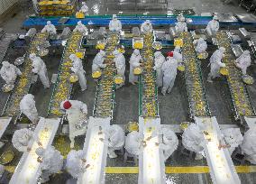 Navel Orange Processing Industry