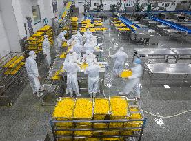 Navel Orange Processing Industry