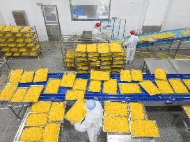Navel Orange Processing Industry