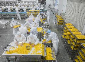 Navel Orange Processing Industry