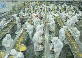 Navel Orange Processing Industry