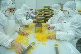 Navel Orange Processing Industry