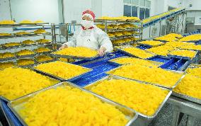 Navel Orange Processing Industry
