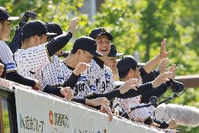 Baseball: Hanshin Tigers' victory parade