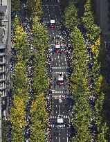 Baseball: Hanshin Tigers' victory parade
