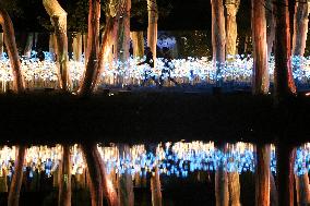 THAILAND-RATCHABURI-NASATTA LIGHT FESTIVA